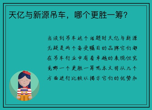 天亿与新源吊车，哪个更胜一筹？