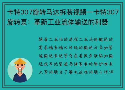 卡特307旋转马达拆装视频—卡特307旋转泵：革新工业流体输送的利器